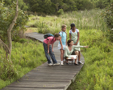 Kids Lee County and Charlotte County: Nature and Animal Summer Camps - Fun 4 Fort Myers Kids