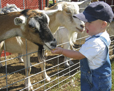 Kids Lee County and Charlotte County: Animal Encounters - Fun 4 Fort Myers Kids