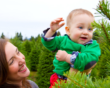 Kids Lee County and Charlotte County: Christmas Tree Farms - Fun 4 Fort Myers Kids