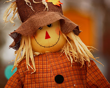 Kids Lee County and Charlotte County: Halloween and Fall Displays - Fun 4 Fort Myers Kids