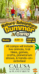 Calusa Nature Center Summer Camps 