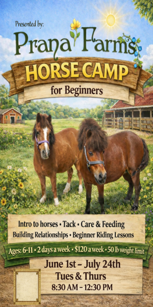 Prana Farms - Horse Camp