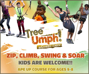 TreeUmph Adventure Course