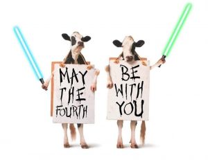 chick fil a may the 4th.jpg