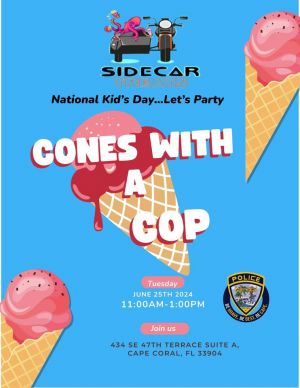 cones with  a cop.jpg