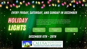 Calusa Holiday Lights.jpg