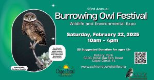 burrowing owl fest.jpg