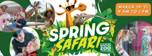 spring safari.png