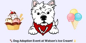 Watsons Ice Cream