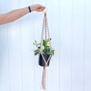 macrame plant hanger.png