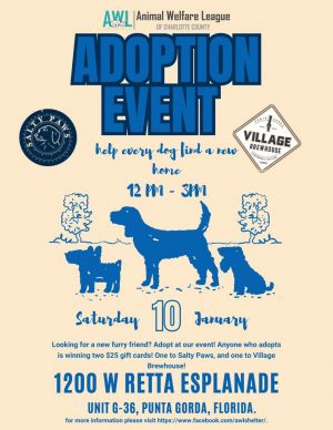 611156576_1177947054405063_6782844638852336185_n (1).jpg