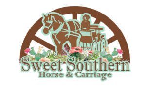 Sweet Southern Horse and Carriage