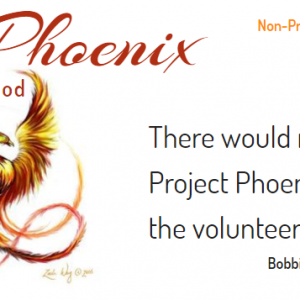 Project Phoenix