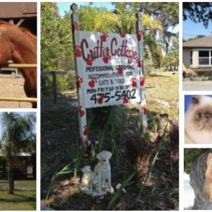 Critter Cottage