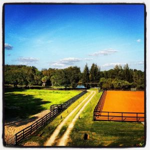 Inverness Farm