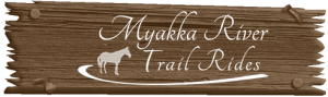 Myakka River Trail Rides