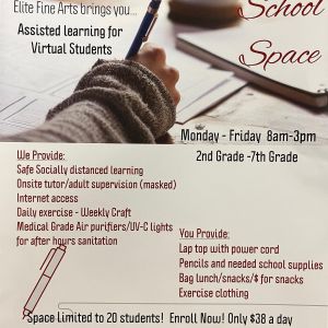 Elite Fine Arts Academy Assisted Learning for Virtual Students