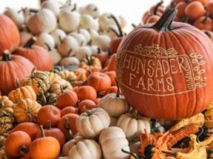 Hunsader Farms Pumpkin Festival