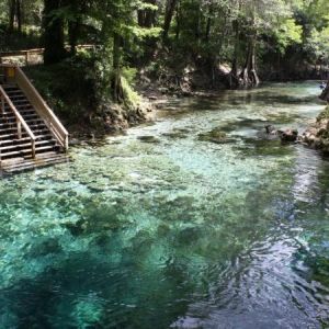 Madison Blue Spring State Park