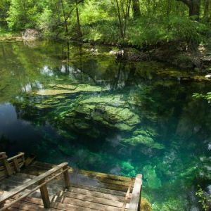 Wes Skiles Peacock Springs State Park