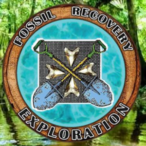 Fossil Recovery Exploration Tour Guide Service