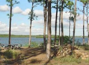 Myakka State Forest