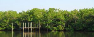 Thornton Key Preserve