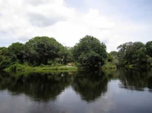 Venice Myakka River Park