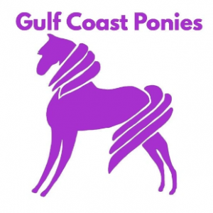 Gulf Coast Ponies