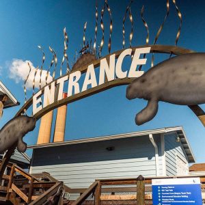 Tampa Electric's Manatee Viewing Center