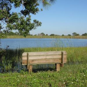 Scherer Thaxton Preserve