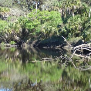 Sleeping Turtles Preserve North