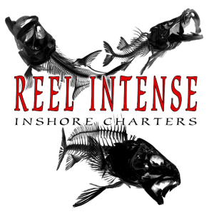 Reel Intense Inshore Charters