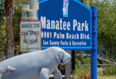 Manatee Park