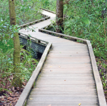 Caloosahatchee Creeks Preserve