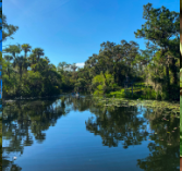 Hickey Creek Mitigation Park