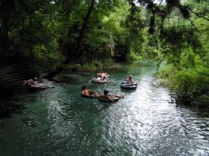 Rock Springs Run at Kelly Park