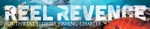 Reel Revenge Fishing Charters