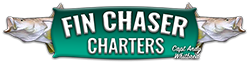 Fin Chaser Charters