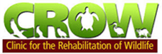 CROW Clinic for the Rehabilitation of Wildlife