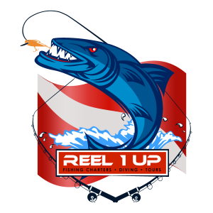 Reel 1 Up Fish and Dive Charters