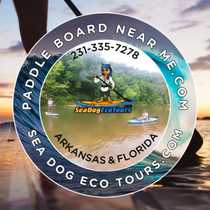 Sea Dog Eco Tours