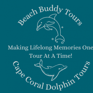 Cape Coral Dophin Tours and Beach Buddy Tours