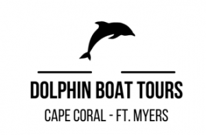 Dolphin Boat Tours