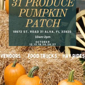 31 Produce Pumpkin Patch