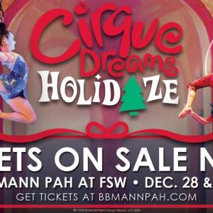 12/28-12/29 Cirque Dreams Holidaze at Barbara B Mann Performing Arts Hall