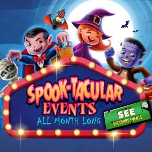 10/24 Vineyards Community Park- Haunted Candy House Creation