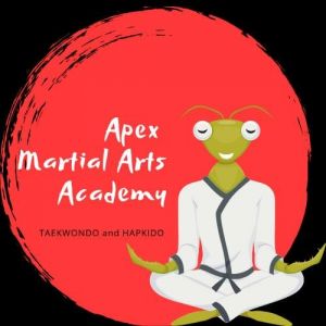 Apex Martial Arts Academy - Afterschool Program