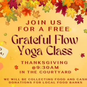 Sacred Nature Studio - Thanksgiving Grateful Yoga Flow Yoga Class