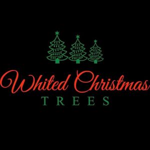 Whited Christmas Trees